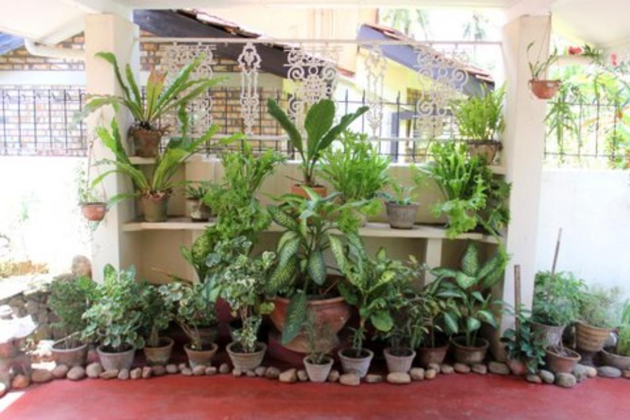 Charming Homestay By The Beach Dehiwala-Mount Lavinia Dış mekan fotoğraf