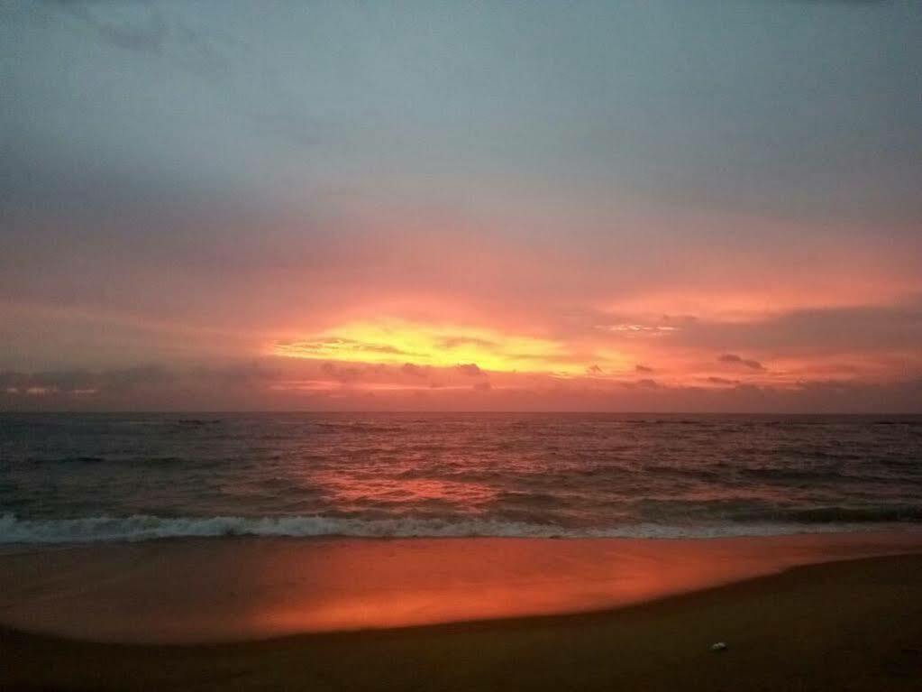 Charming Homestay By The Beach Dehiwala-Mount Lavinia Dış mekan fotoğraf